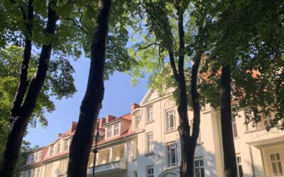 Warsztat Zaawansowany TRE® Świnoujście