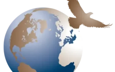 Jak, kto i co mówimy o TRE®, i co z tego wynika?