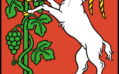 TRE® w Lublinie – zimowa Akademia Self-Care 2025!