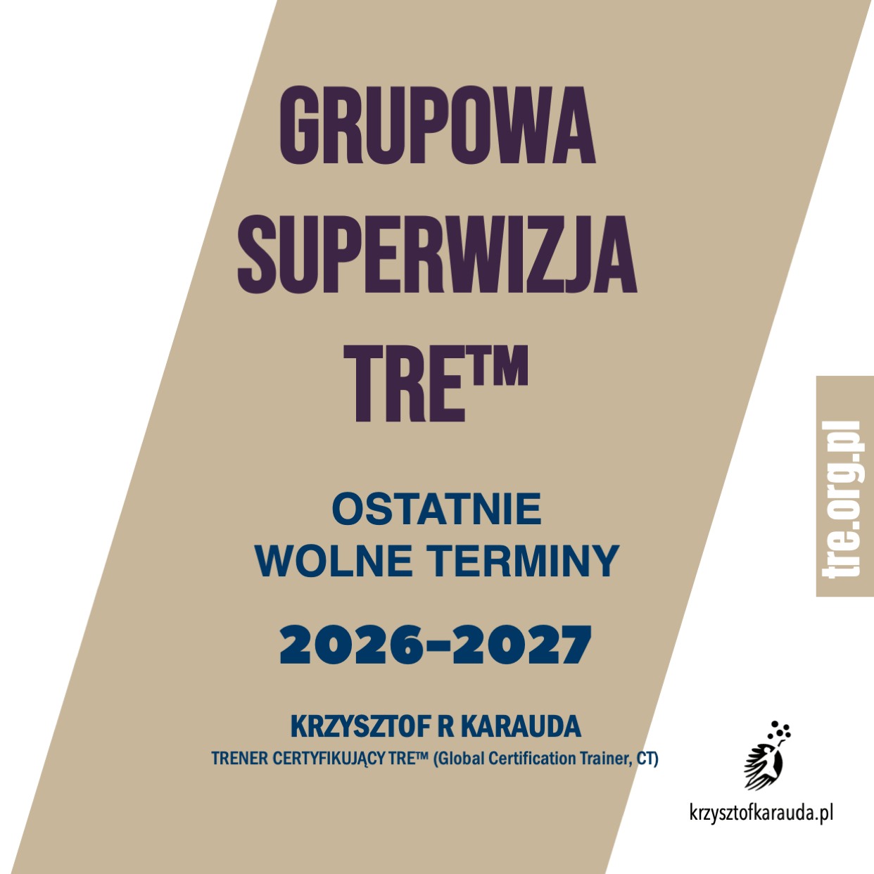 Superwizja-grupowa_TRE Superwizja grupowa TRE dla Providerów